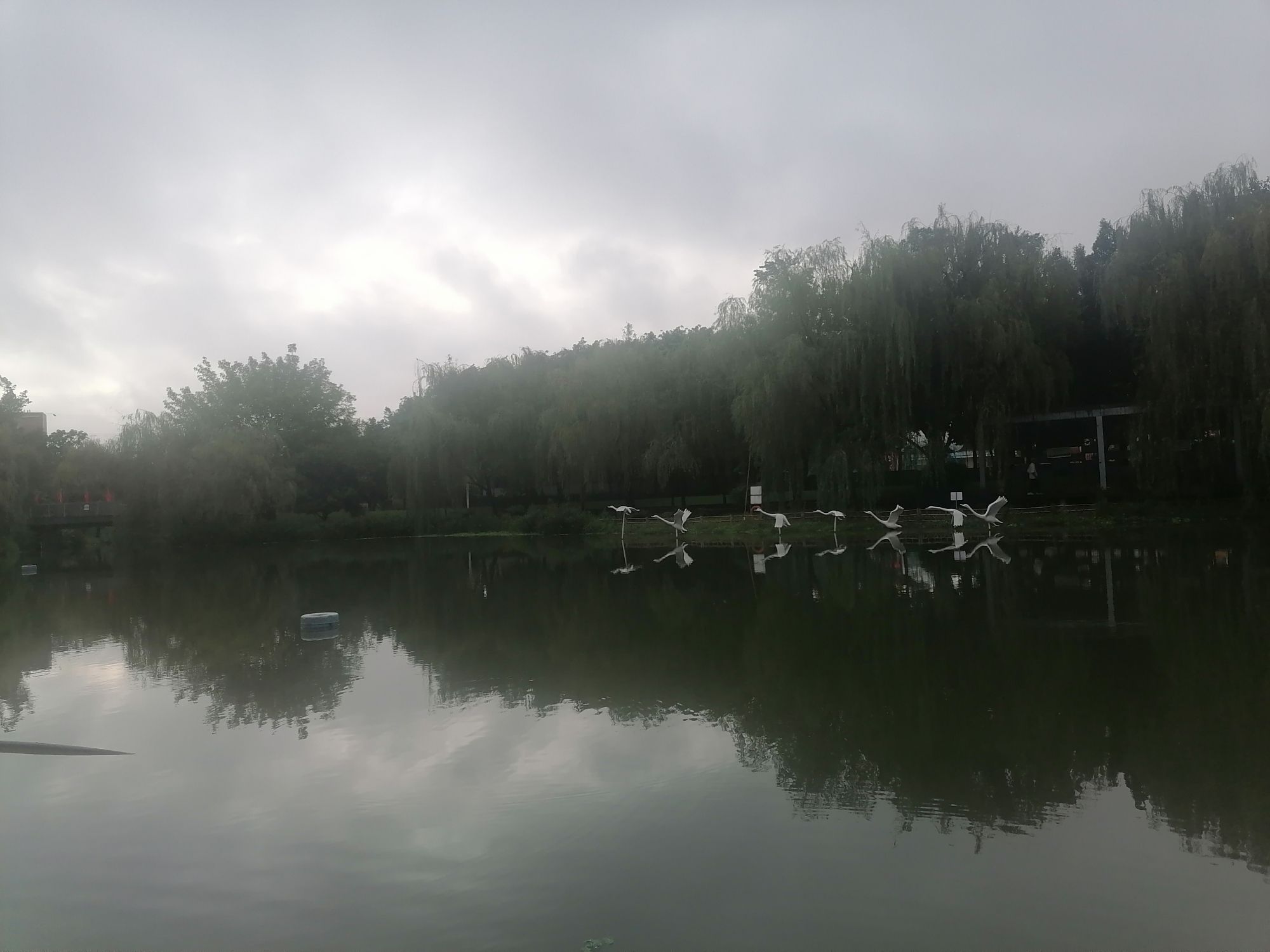 赤桥公园旅行图片 2
