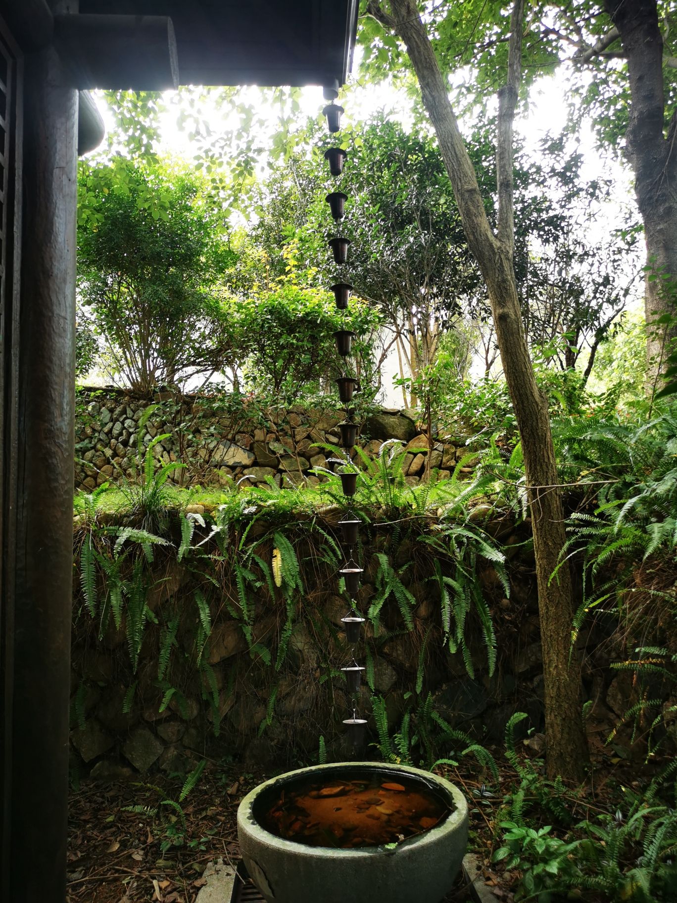赤桥公园旅行图片 3