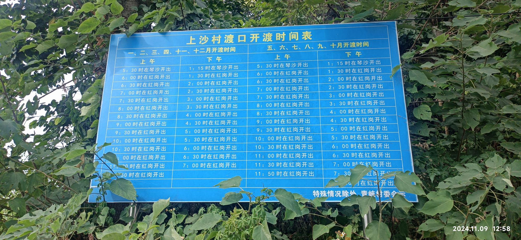 琴沙岛旅行图片 1