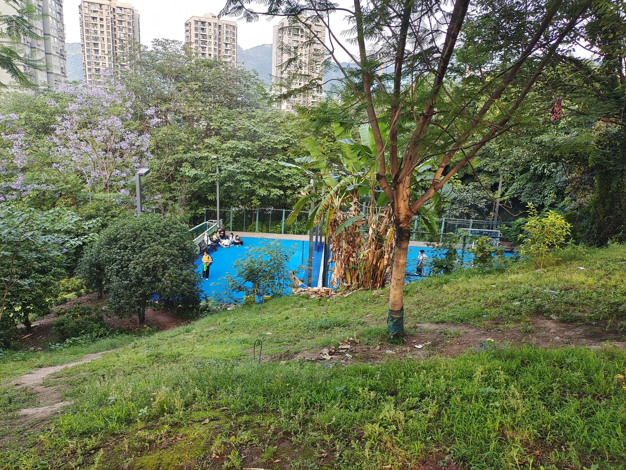南岸区辅仁公园旅行图片 1