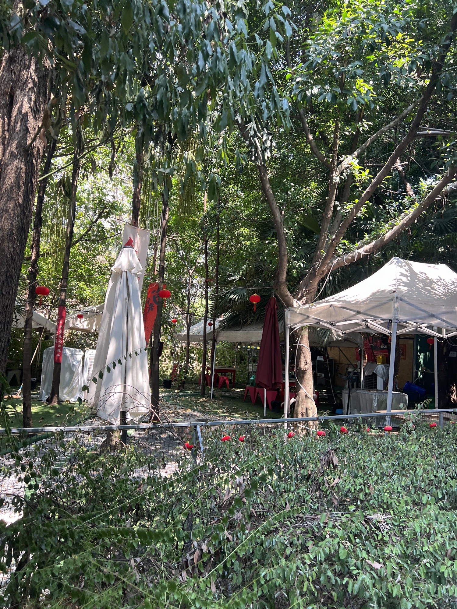 南岸区辅仁公园旅行图片 2