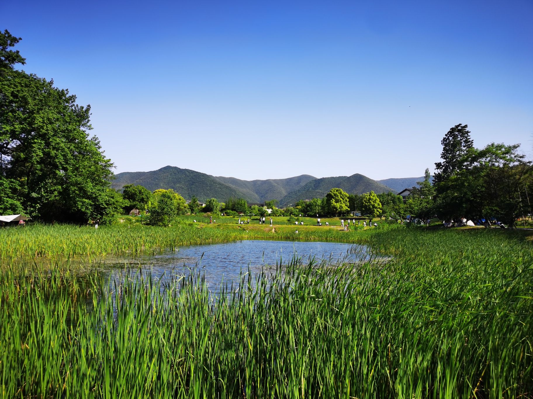 雅达阳羡溪山滨湖公园旅行图片 1