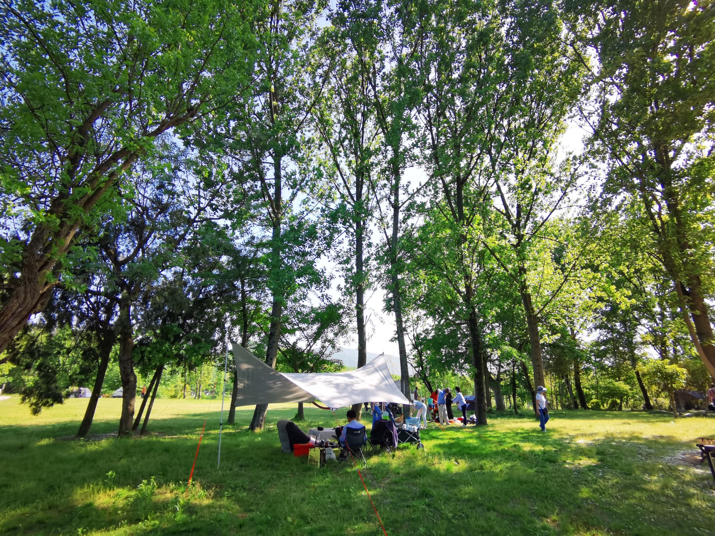 雅达阳羡溪山滨湖公园旅行图片 2