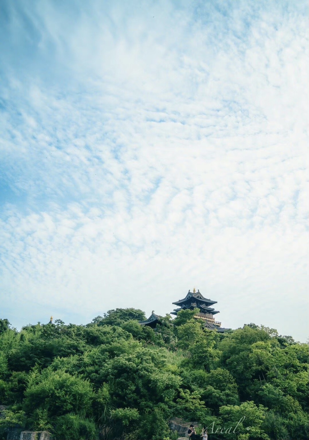 雅达阳羡溪山滨湖公园旅行图片 3