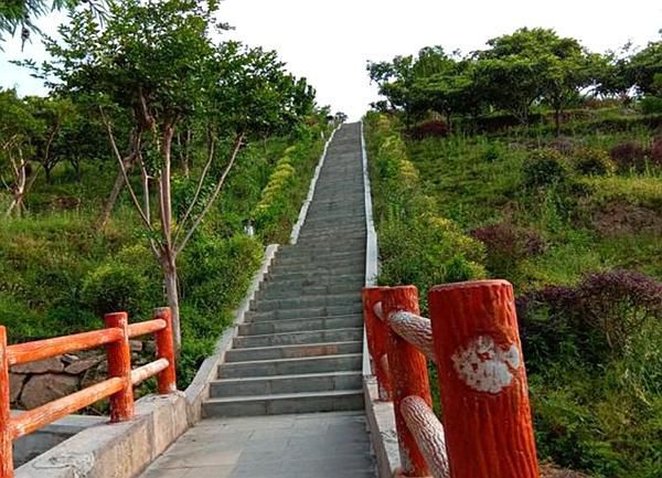 大巴山茶文化公园旅行图片 2