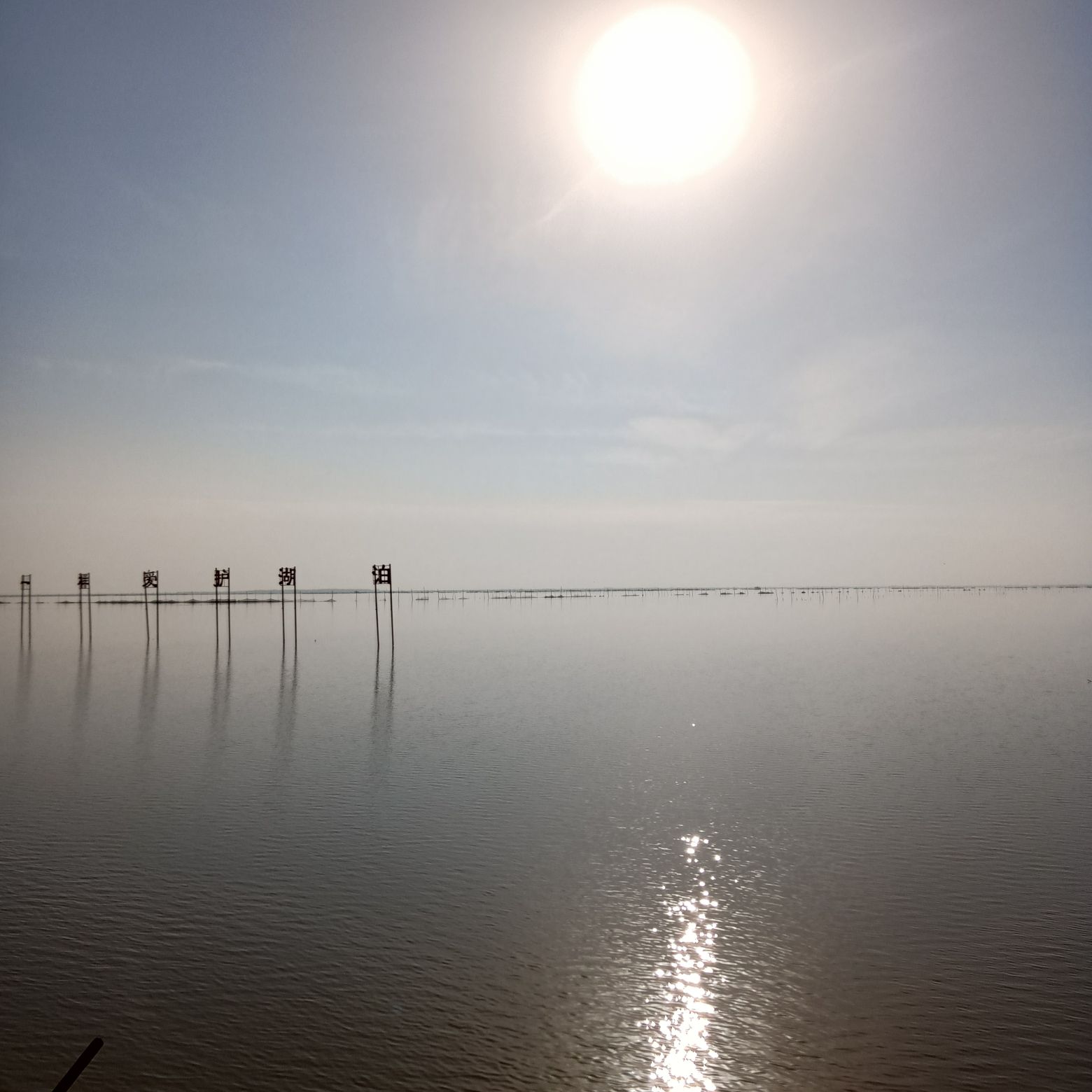 湖南大通湖国家湿地公园旅行图片 3