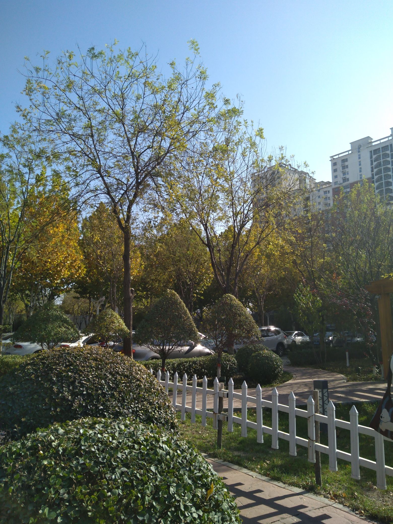 唐山市丰南区街心公园旅行图片 3