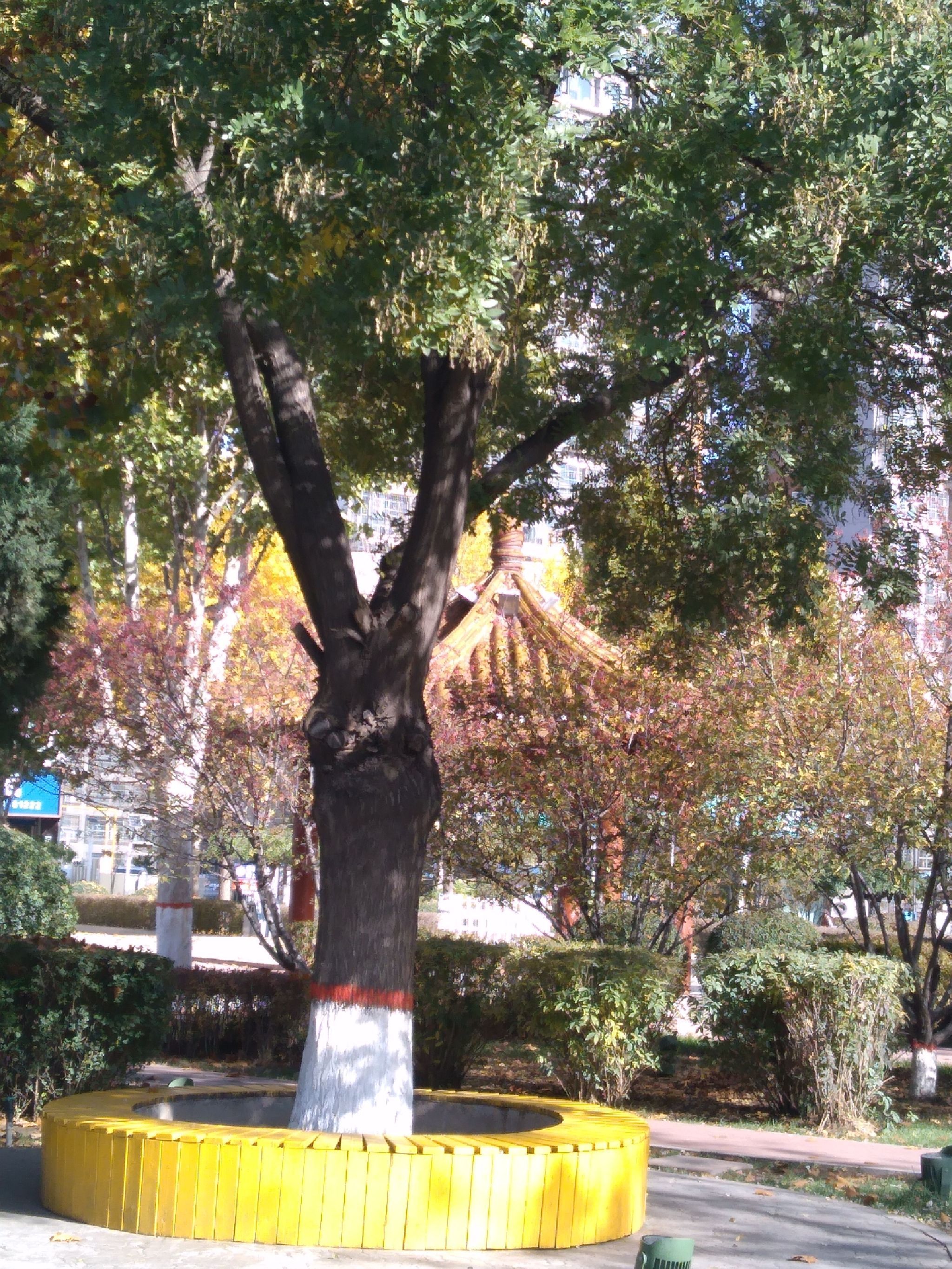 唐山市丰南区街心公园旅行图片 1