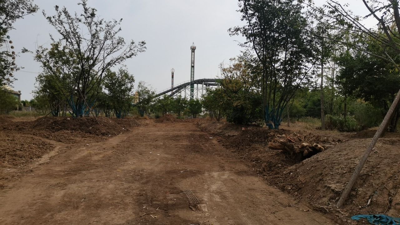 凤凰公园旅行图片 1