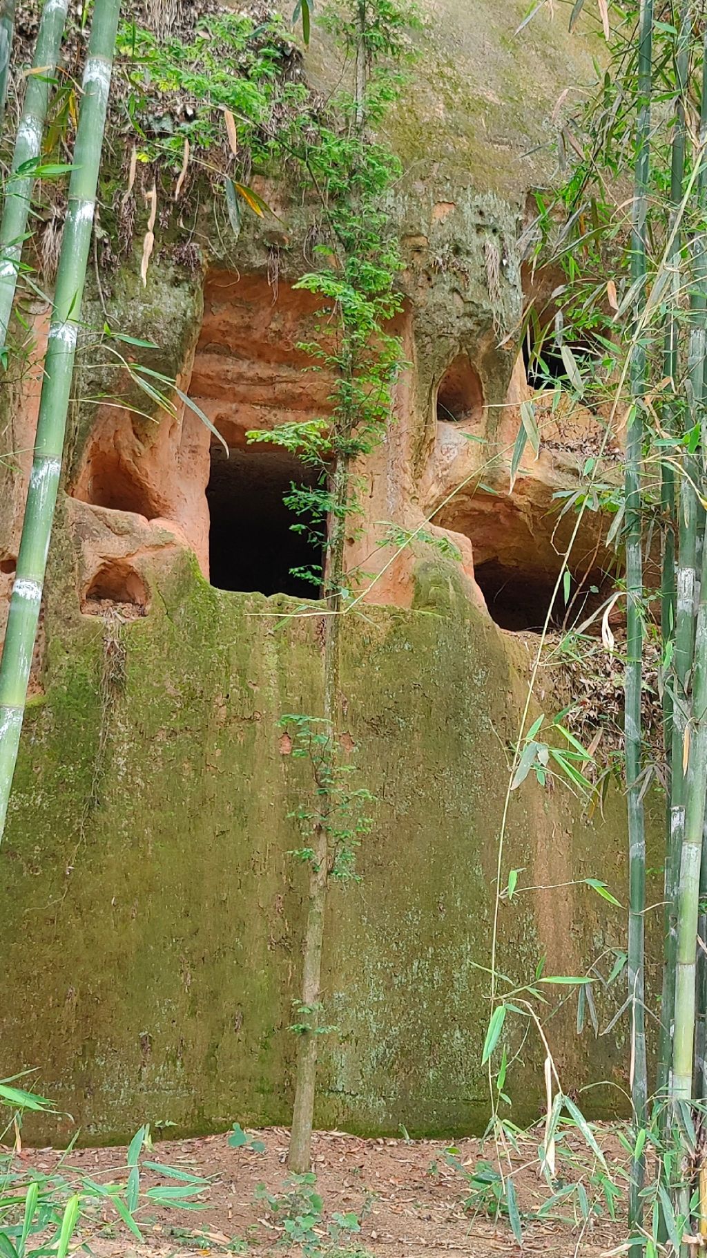 瑞峰崖墓群旅行图片 1