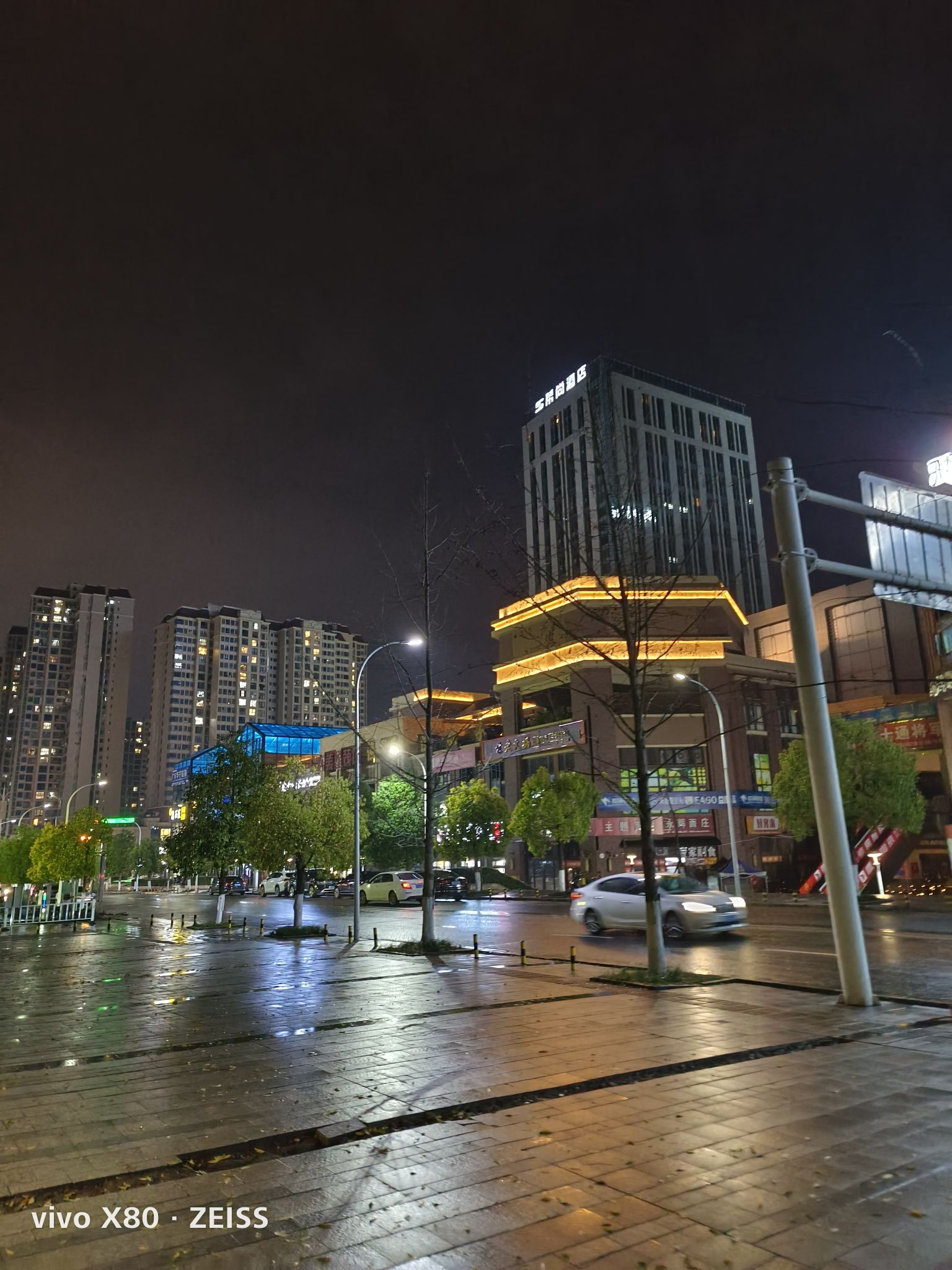 西城中央公园旅行图片 1