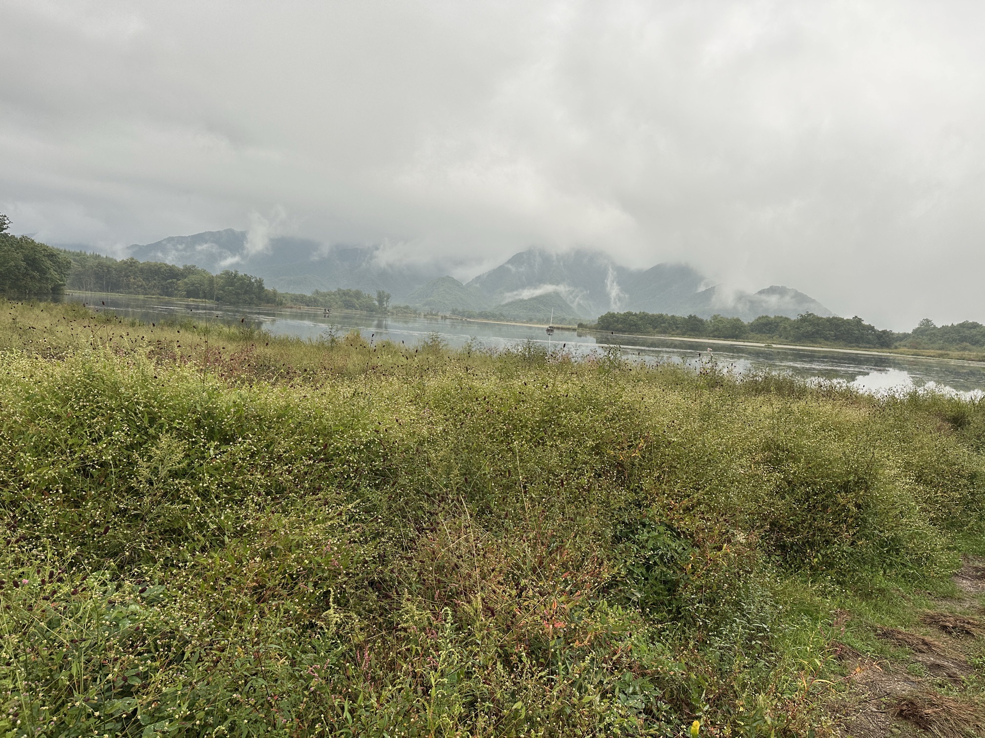 大九湖 景点照片