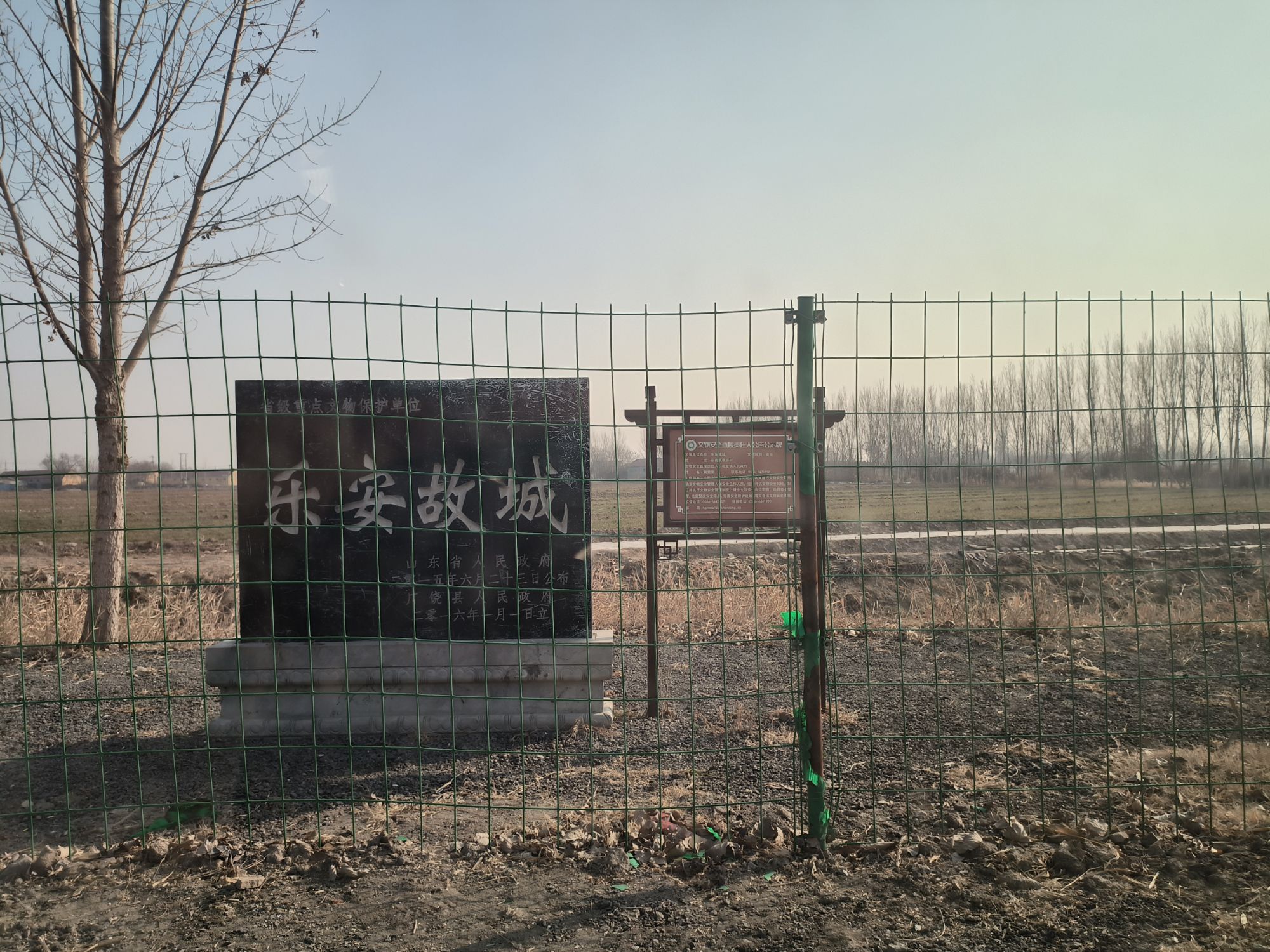 广饶县乐安古城遗址旅行图片 1