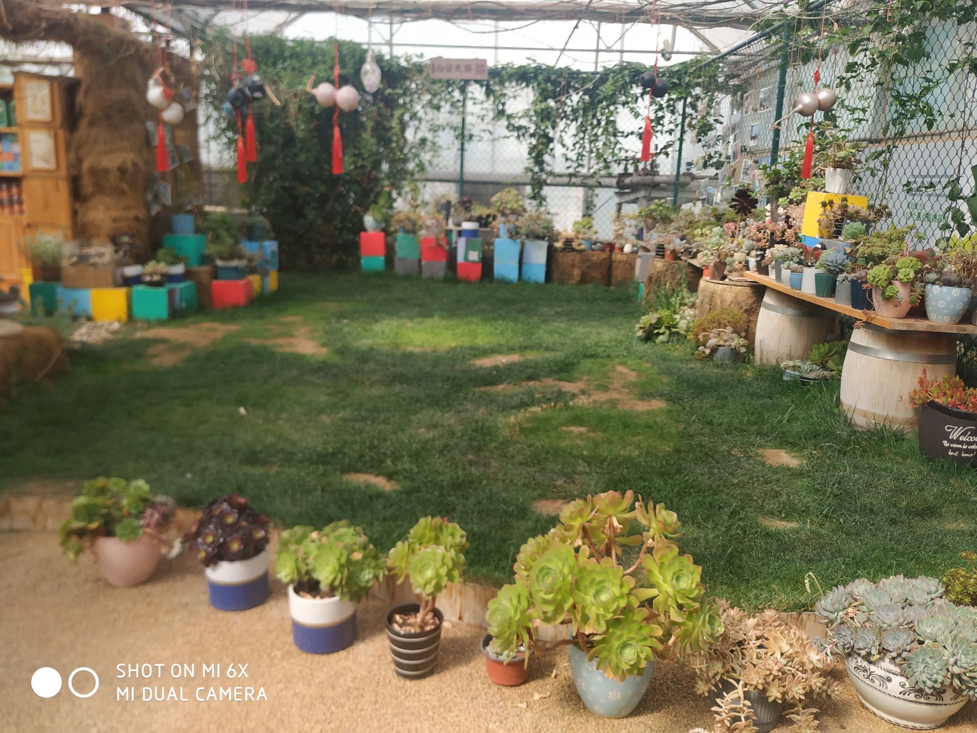 蒙草草博园旅行图片 3