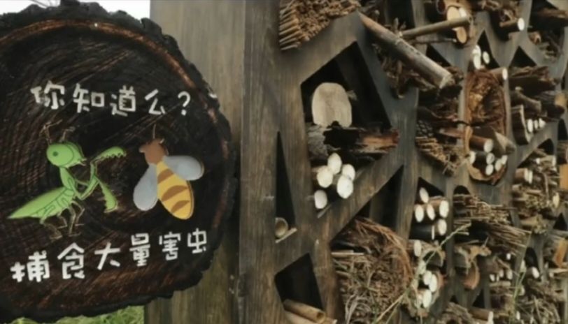 蒙草草博园旅行图片 1