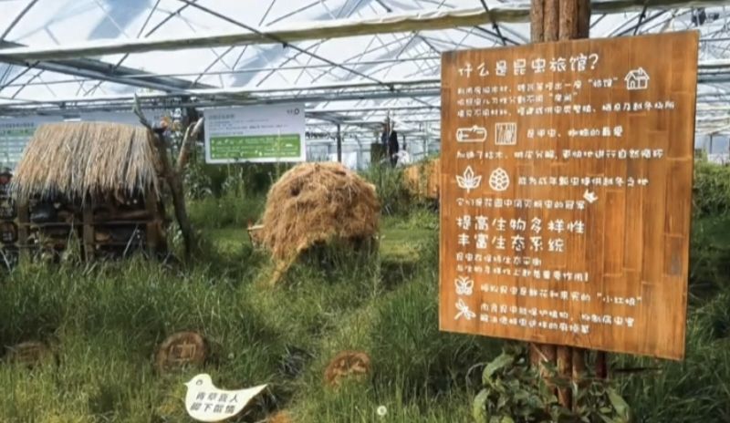 蒙草草博园旅行图片 2