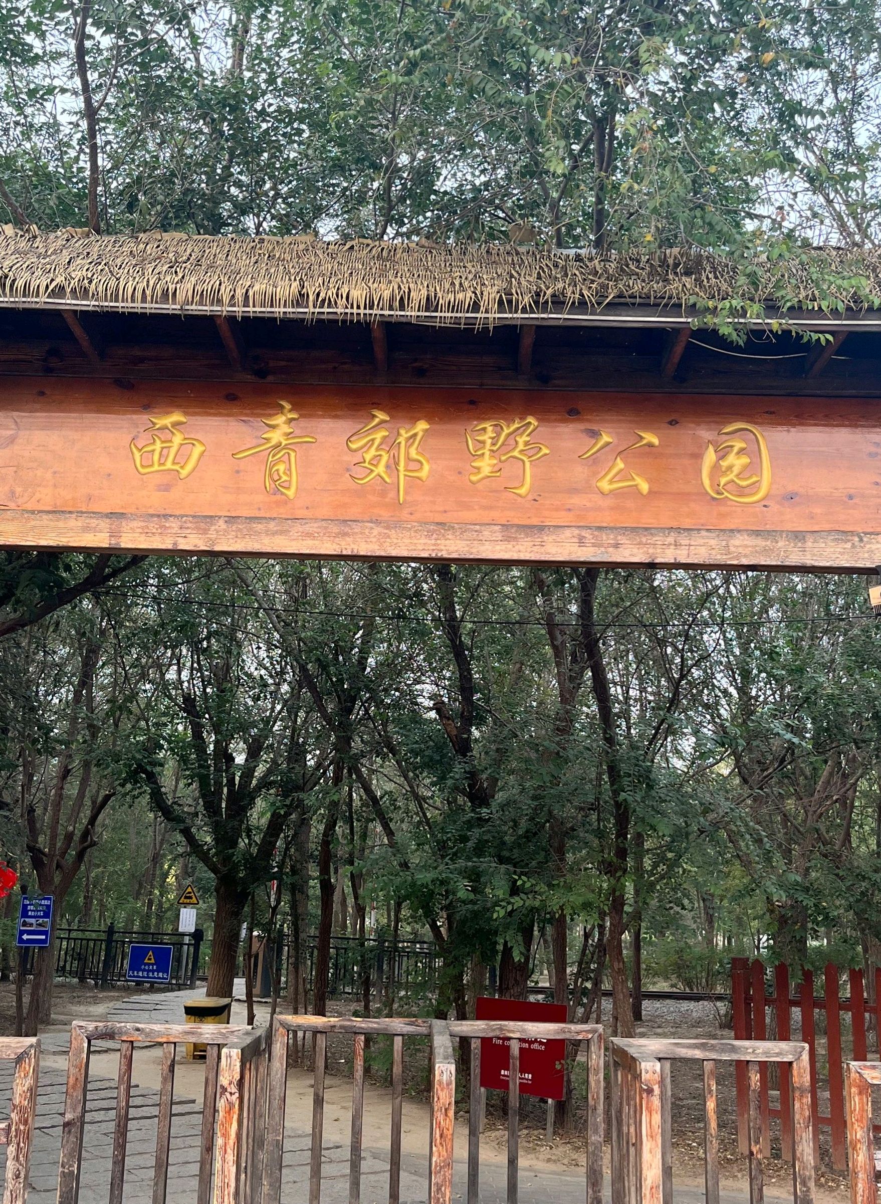 西青郊野公园-沙滩戏水