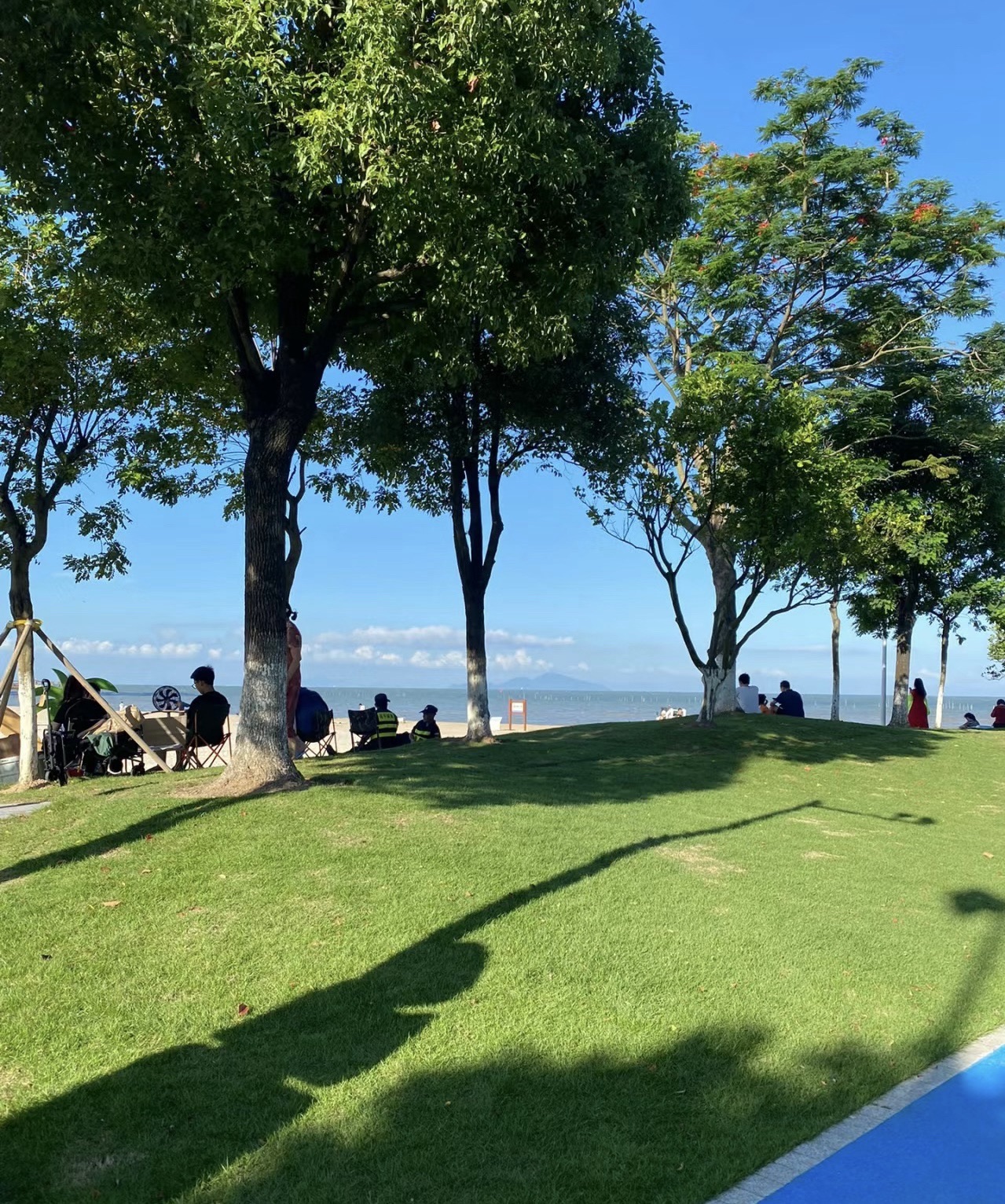 绿洋湾公园旅行图片 1