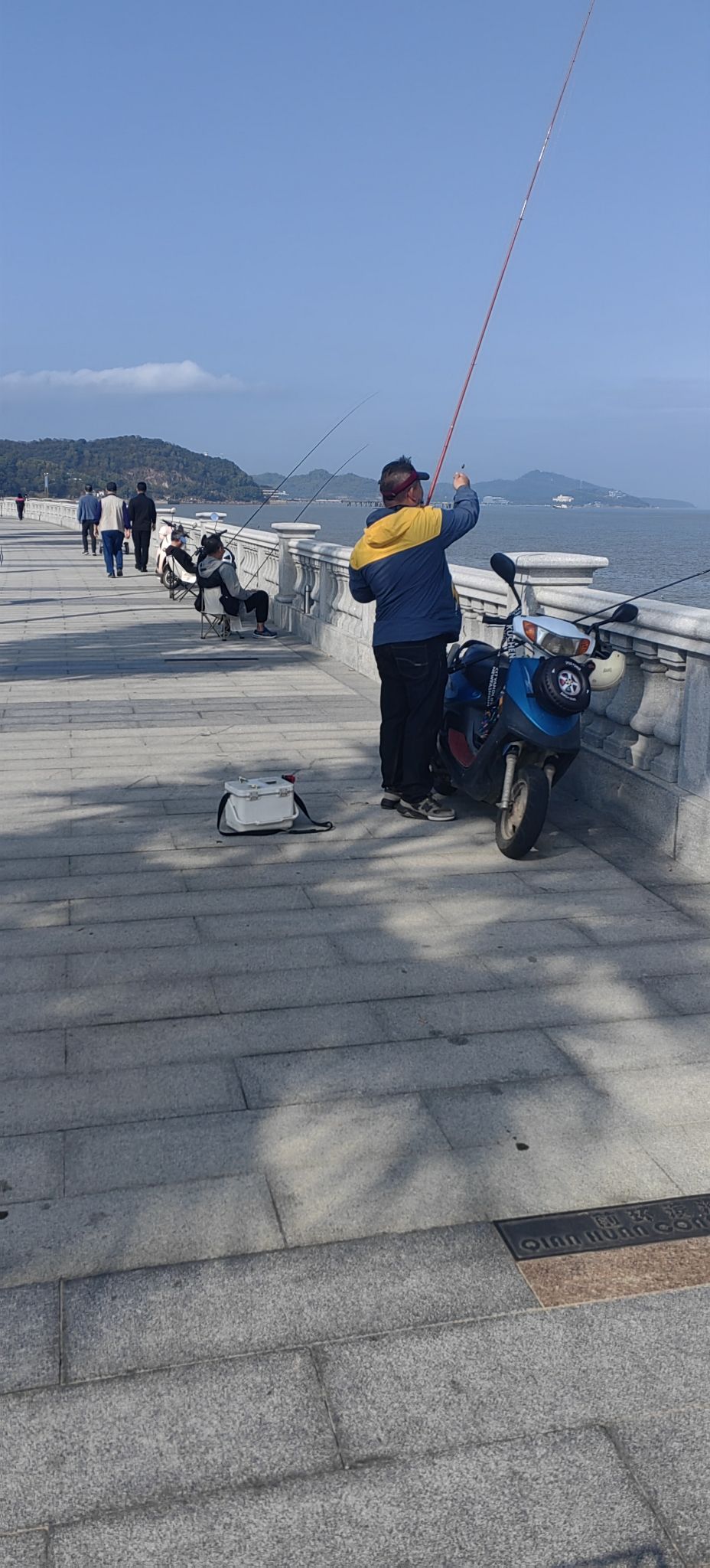 绿洋湾公园旅行图片 1