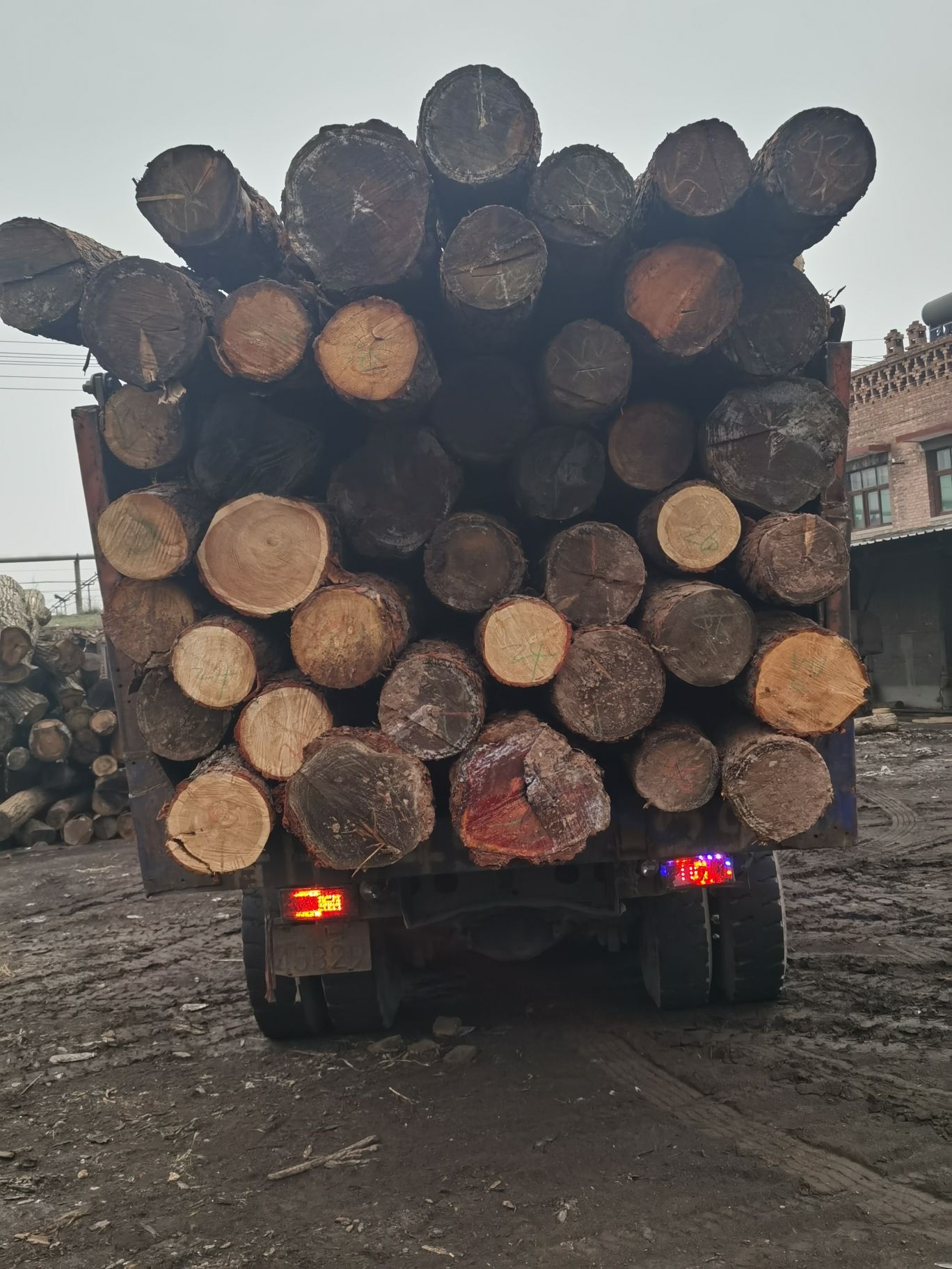 朔州木材市场