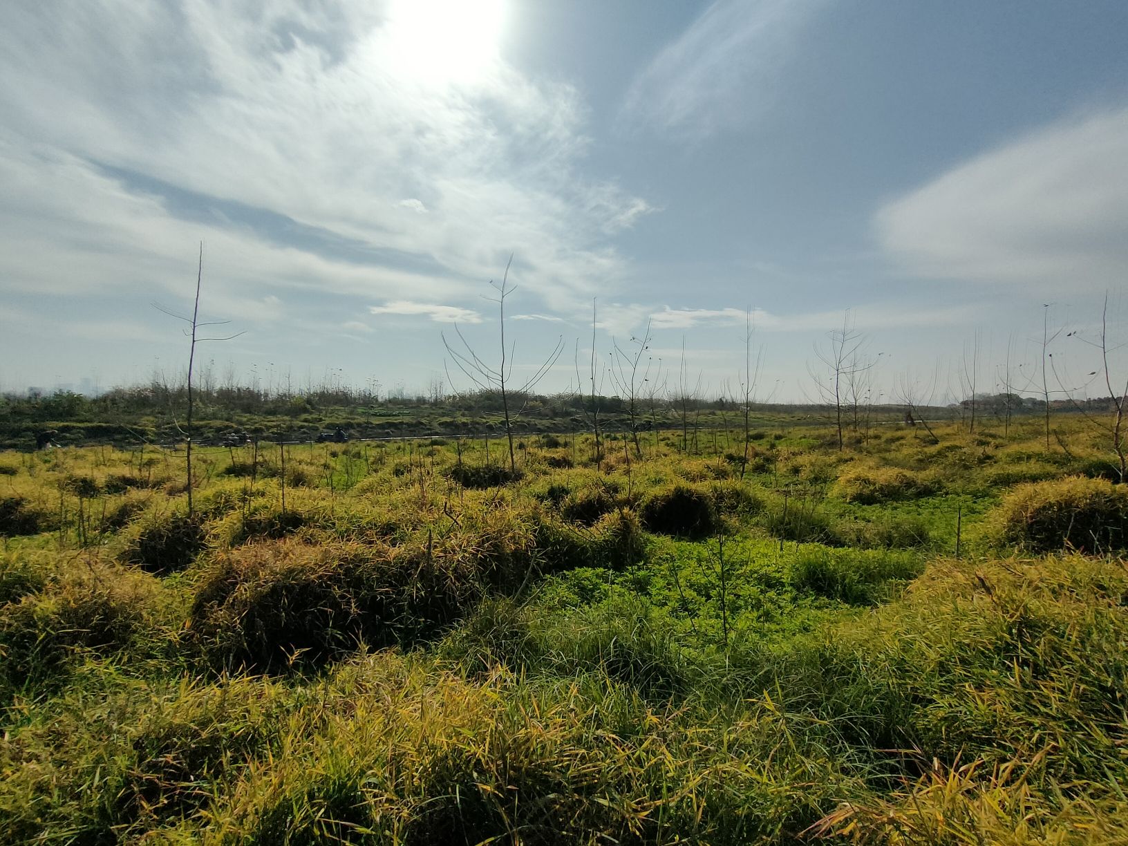 江河文化公园旅行图片 2
