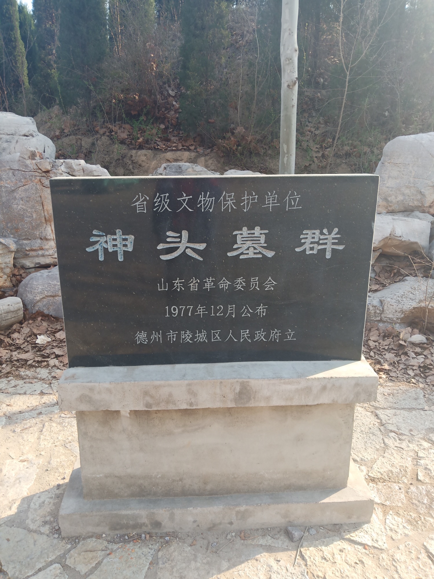 神头墓群旅行图片 1