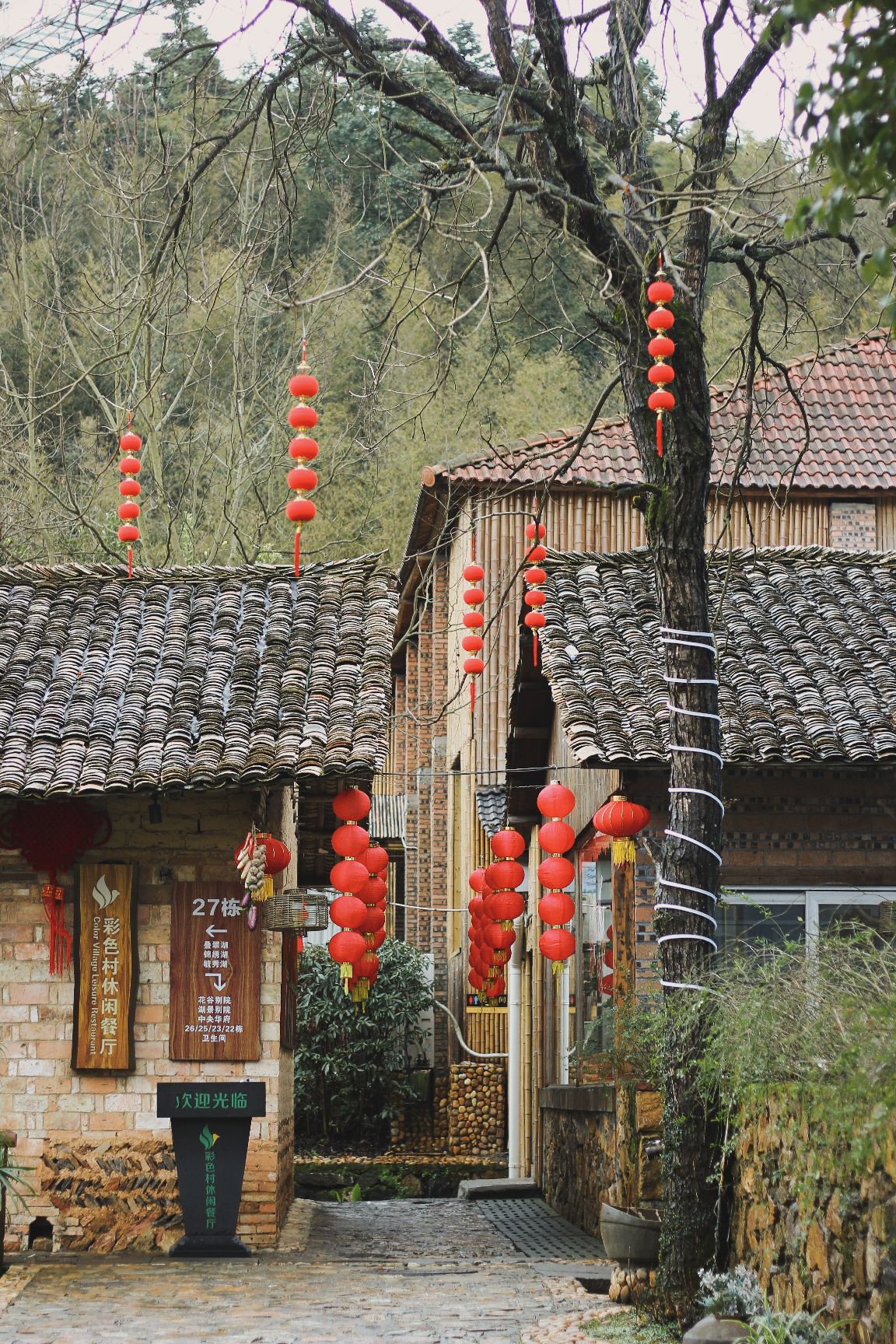 新余彩色村旅行图片 2