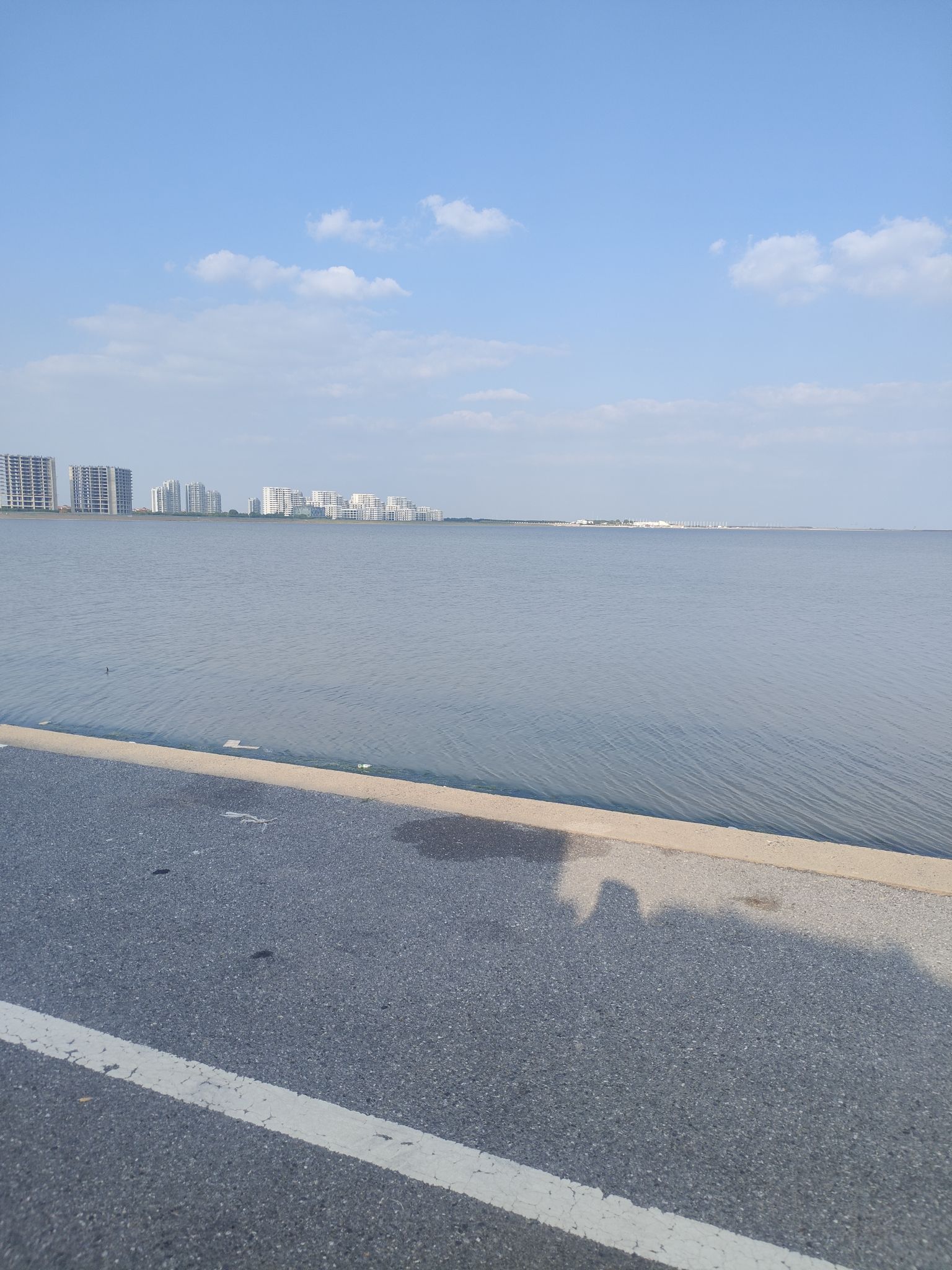 东海观景台旅行图片 2