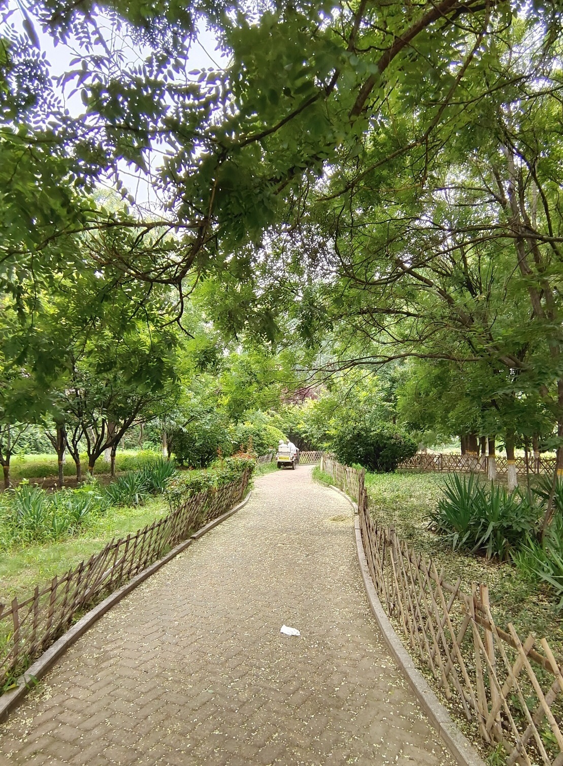 北城公园旅行图片 1