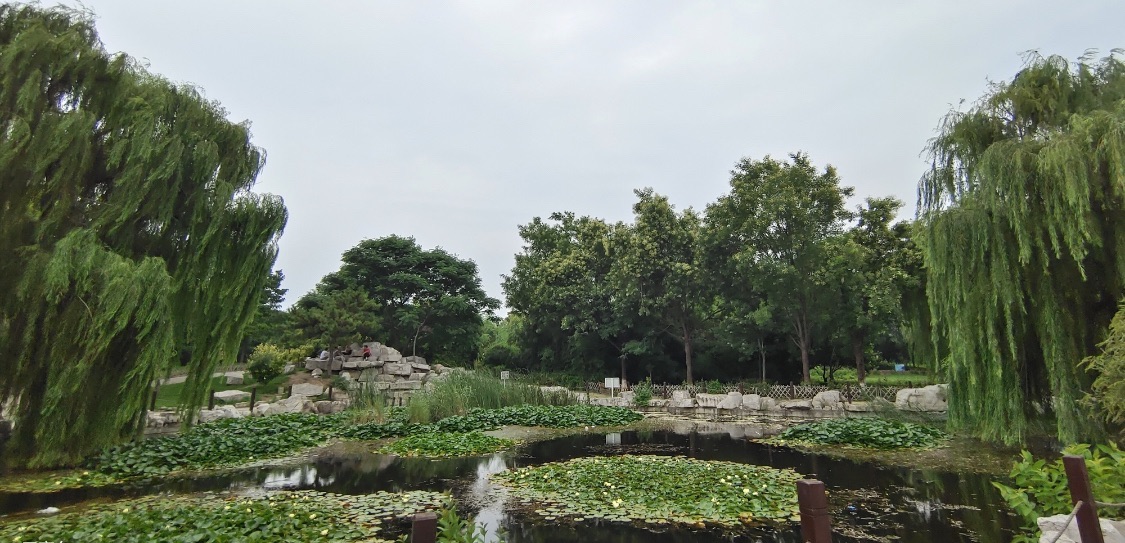 北城公园旅行图片 2