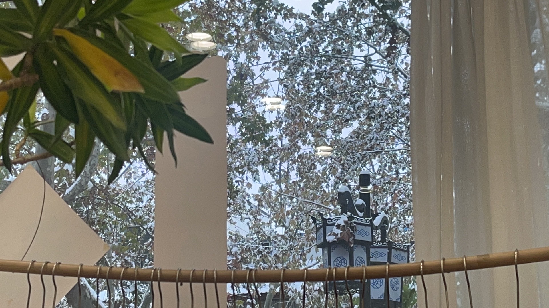 北城公园旅行图片 2
