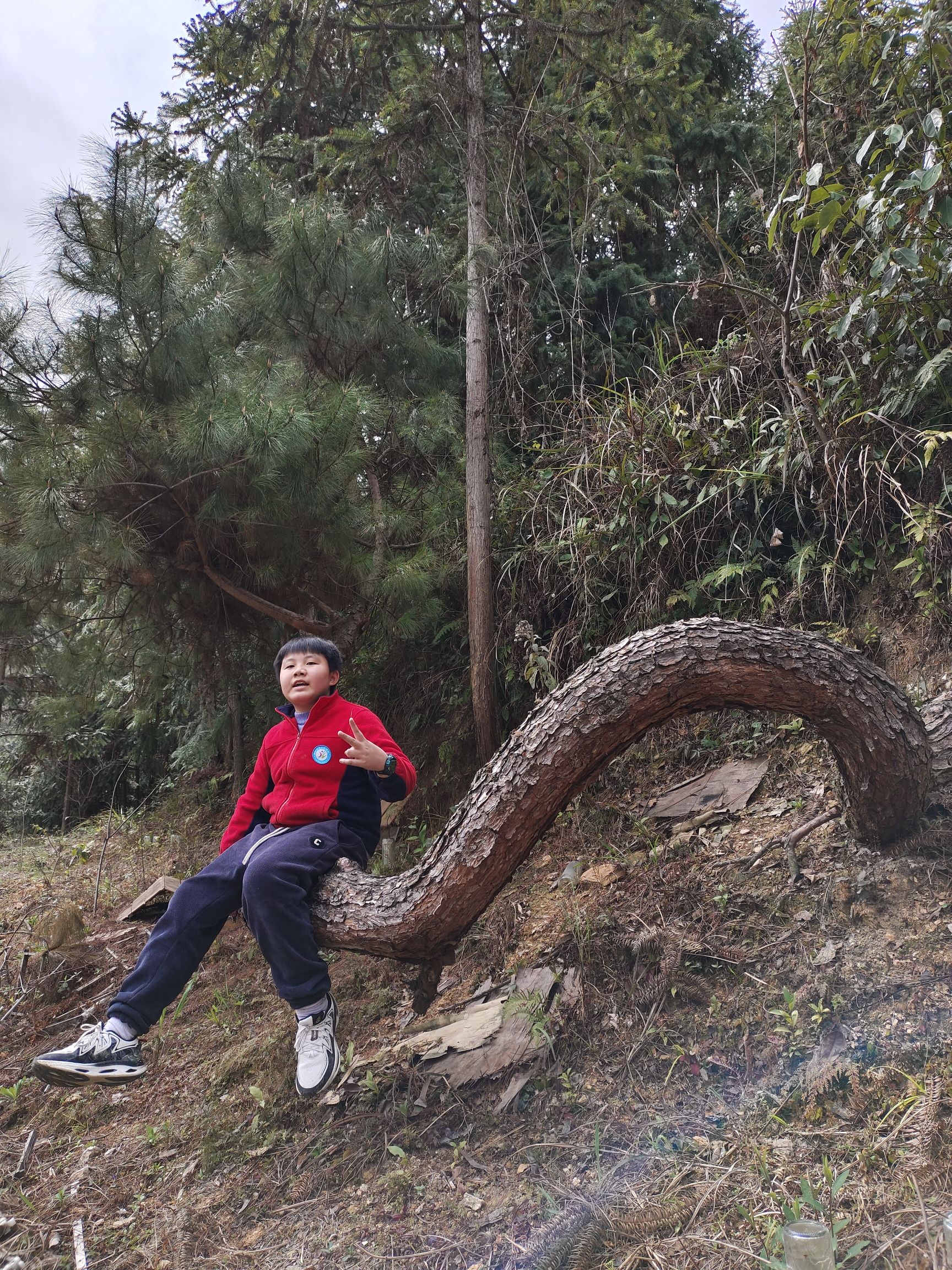 新晃侗乡蜜蜂文化园旅行图片 2