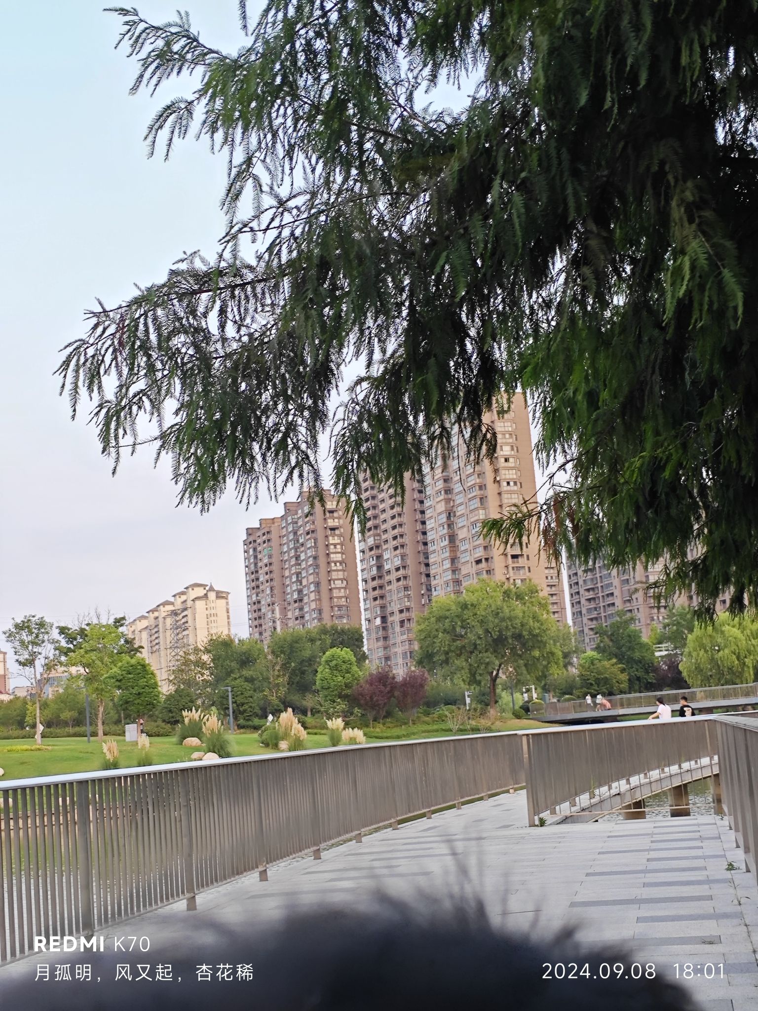 虞姬公园旅行图片 2