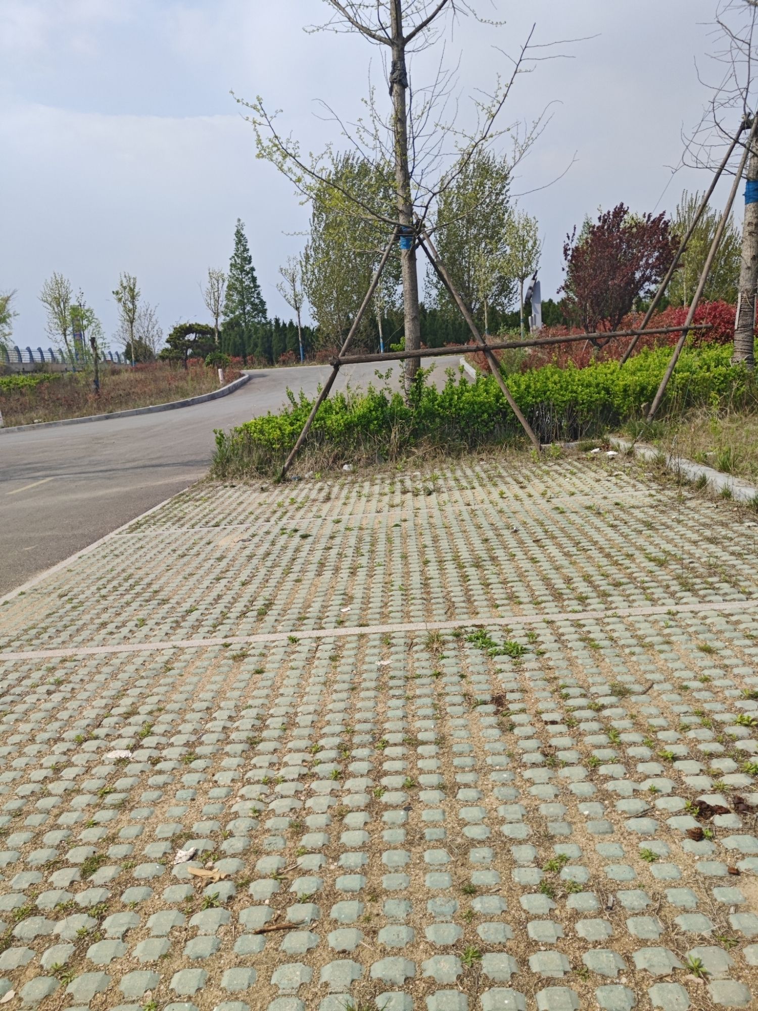两城河口国家湿地公园旅行图片 1