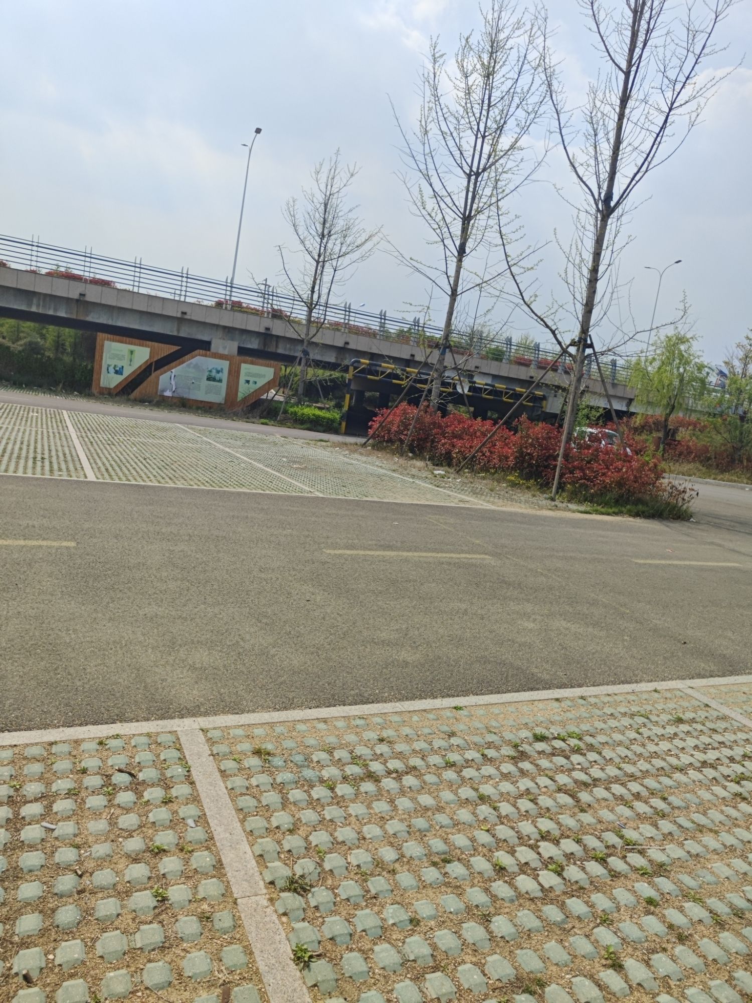 两城河口国家湿地公园旅行图片 2