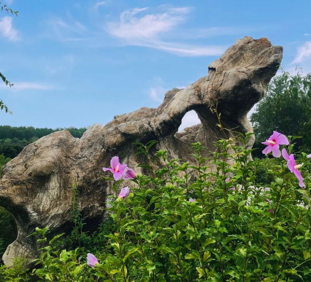 黄港生态休闲居住区郊野公园旅行图片 2