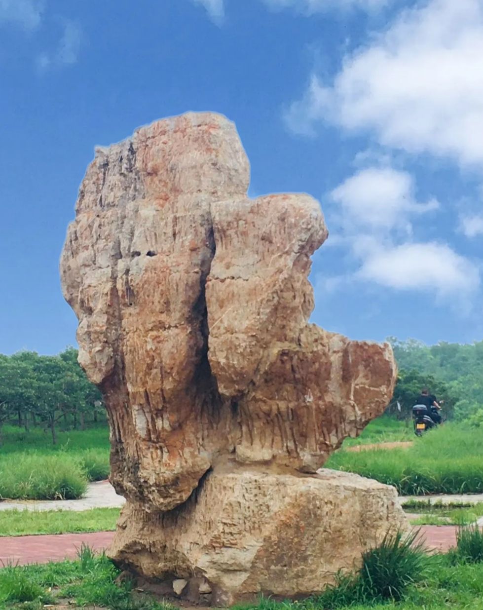黄港生态休闲居住区郊野公园旅行图片 3