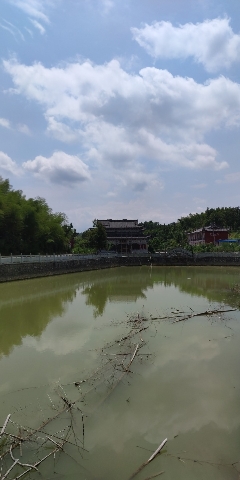 团田寺