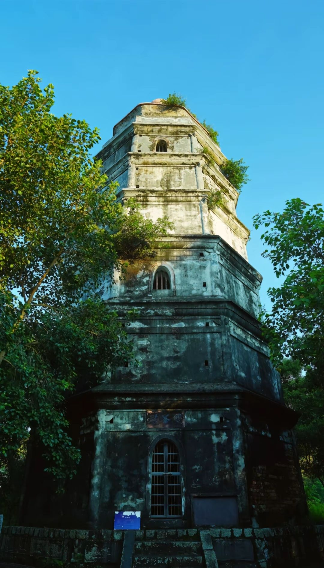 双峰塔旅行图片 3