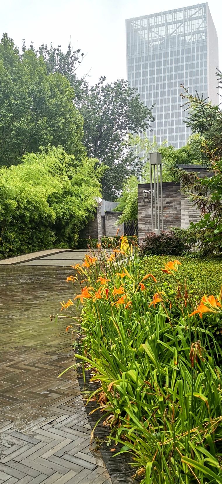 莱太花卉城市公园旅行图片 3