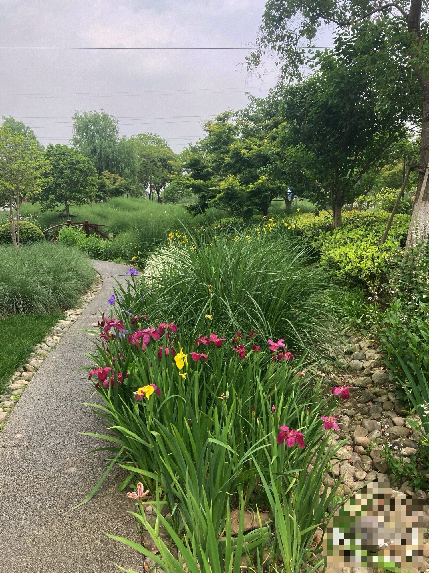 丁连村民公园旅行图片 1