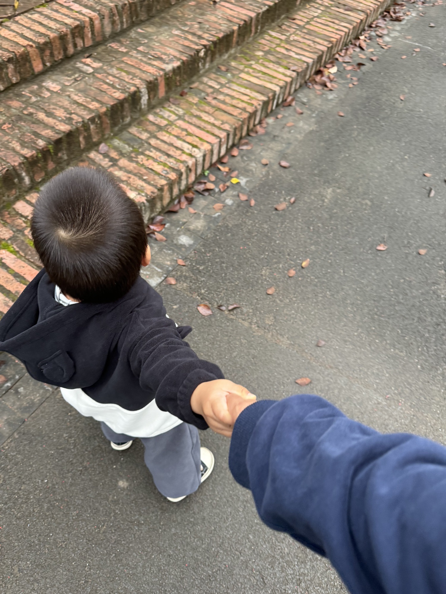 丁连村民公园旅行图片 3