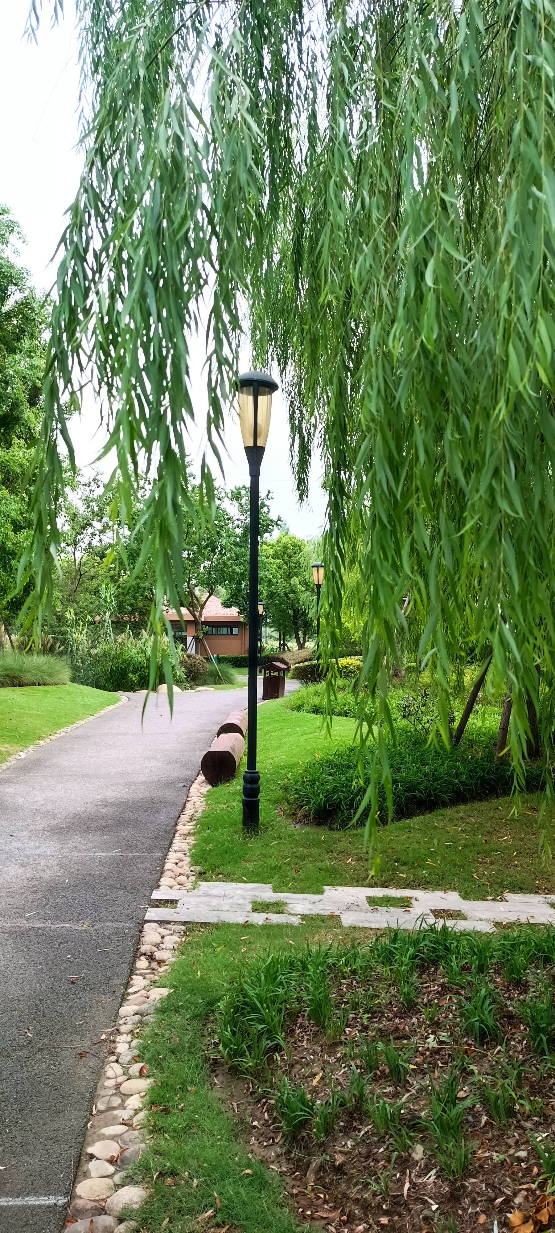 丁连村民公园旅行图片 2