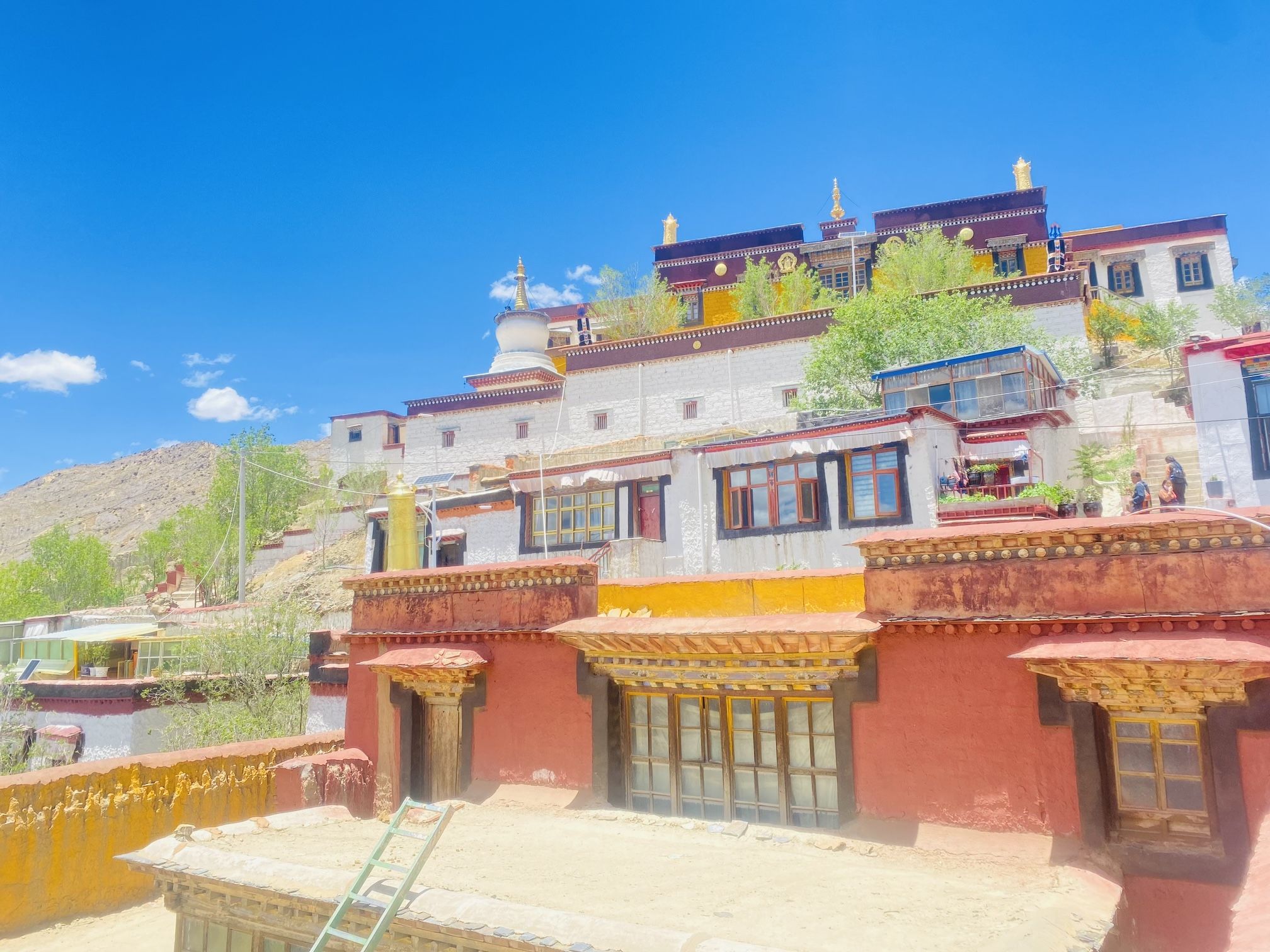参卓林寺实景照片