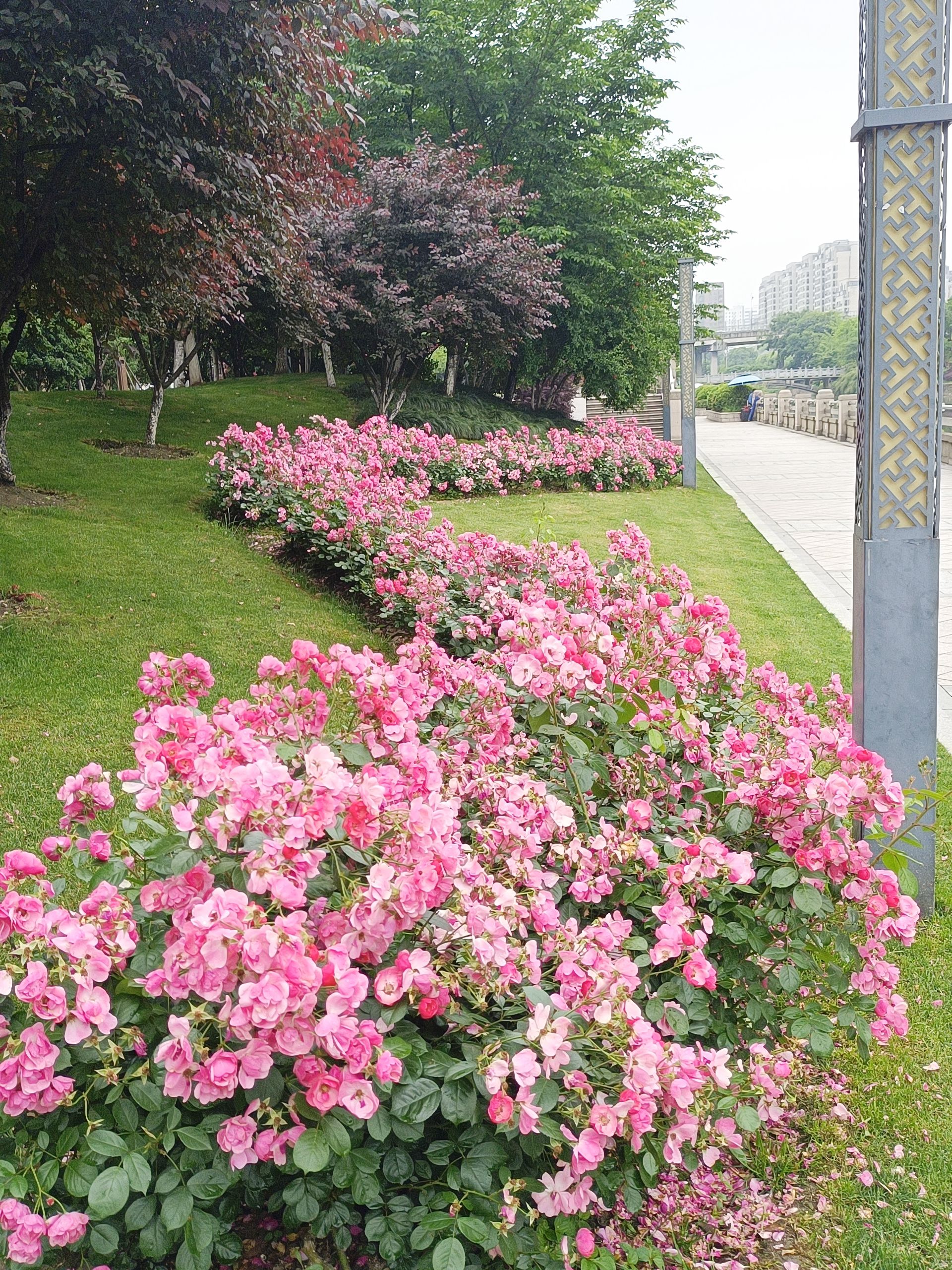 龙兴文化公园旅行图片 2