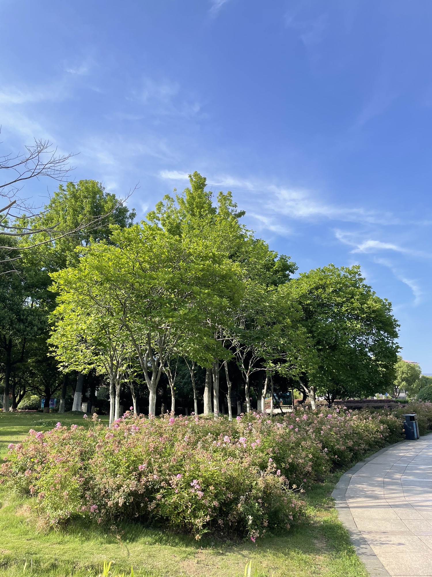 宜兴市团氿风景区-团氿城市湿地公园