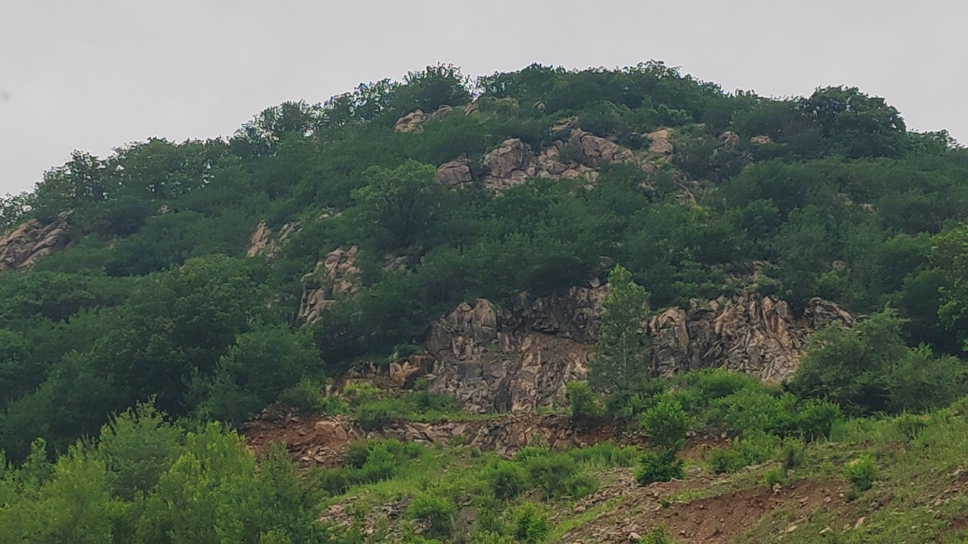 长春四棱山国家森林公园旅行图片 2