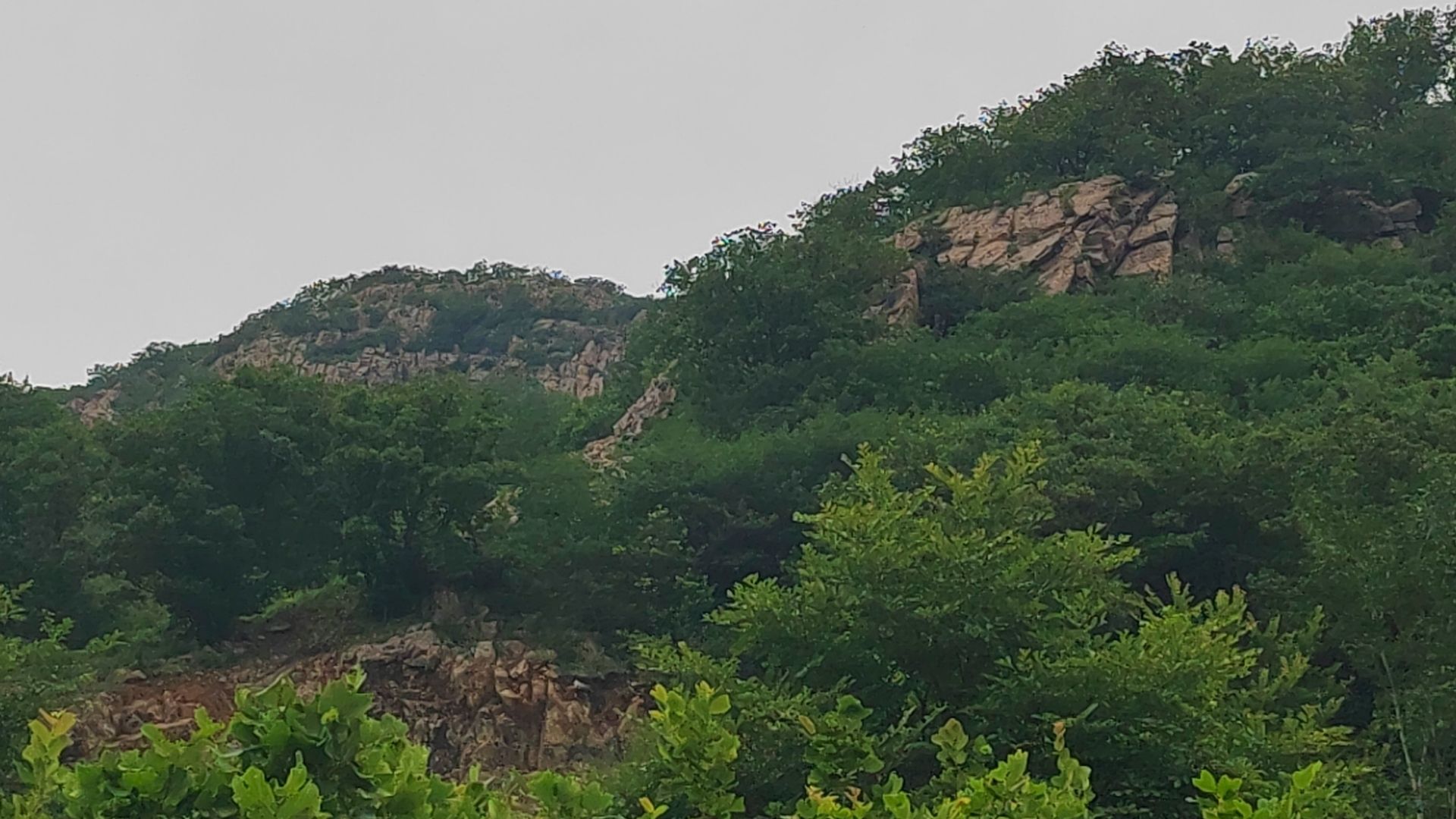 长春四棱山国家森林公园旅行图片 3