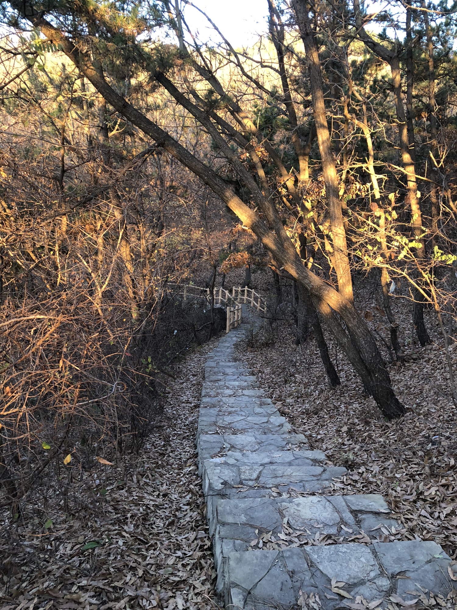 雨澜亭旅行图片 1