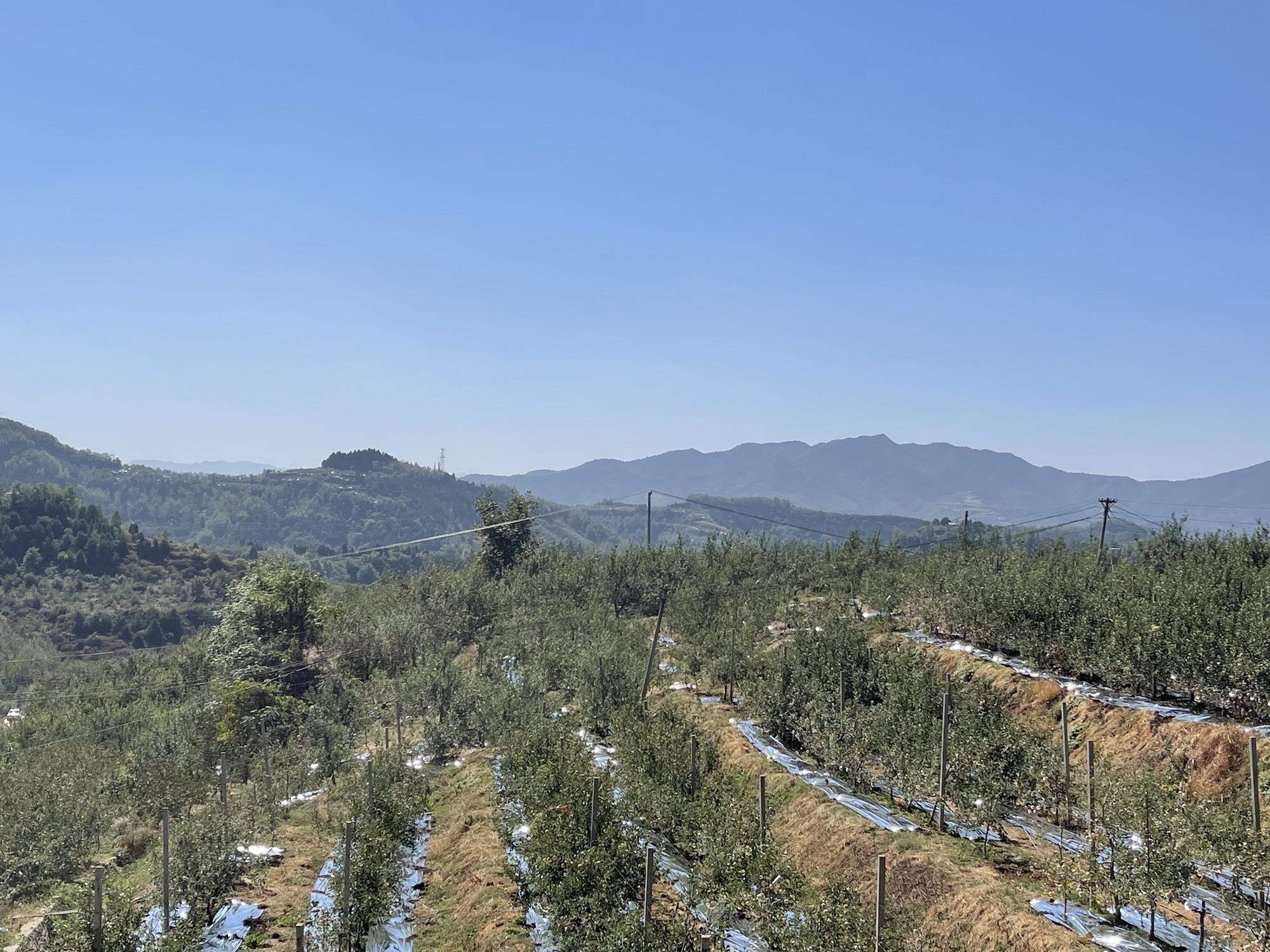 寺河山苹果小镇旅行图片 1